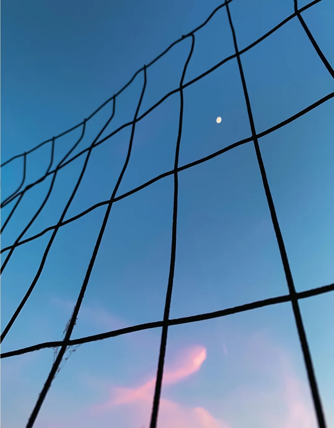 Photograph 1 by Kelly Jiang