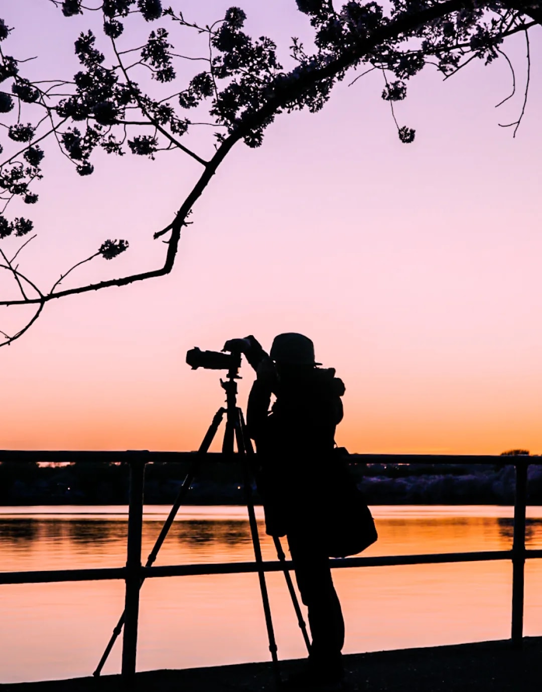 Photograph 63 by Kelly Jiang